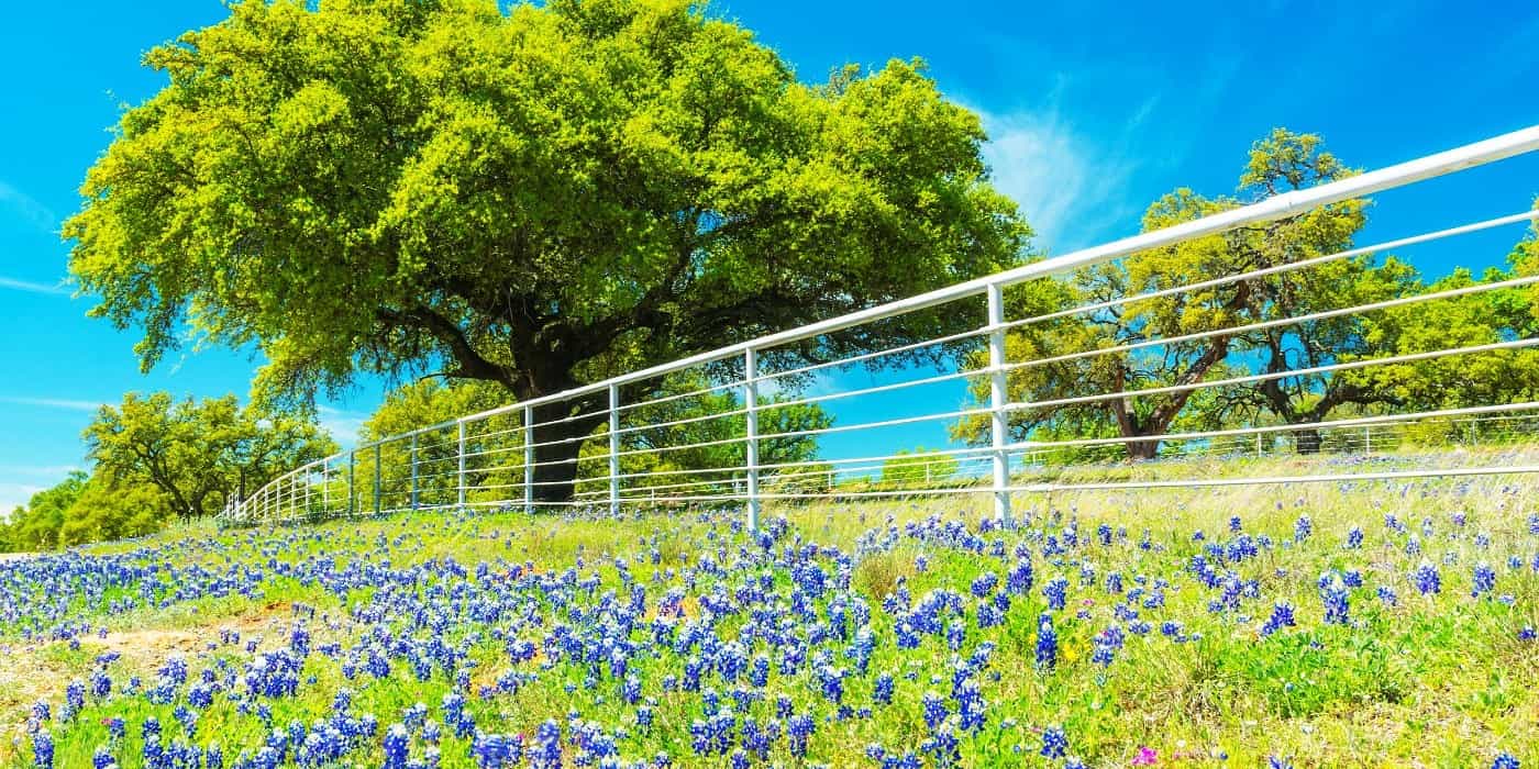The Willow City Loop, Fredericksburg, TX