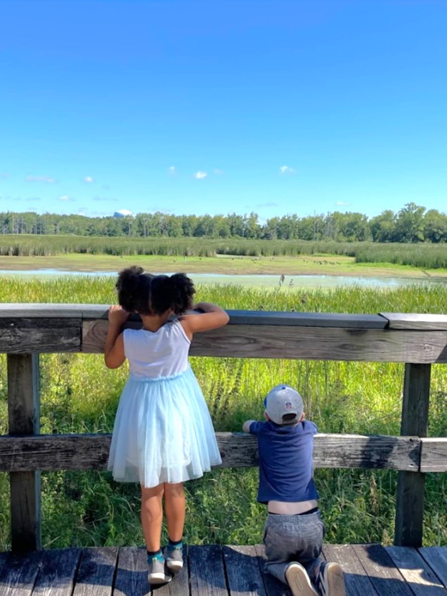 Tifft Nature Preserve, Buffalo, NY