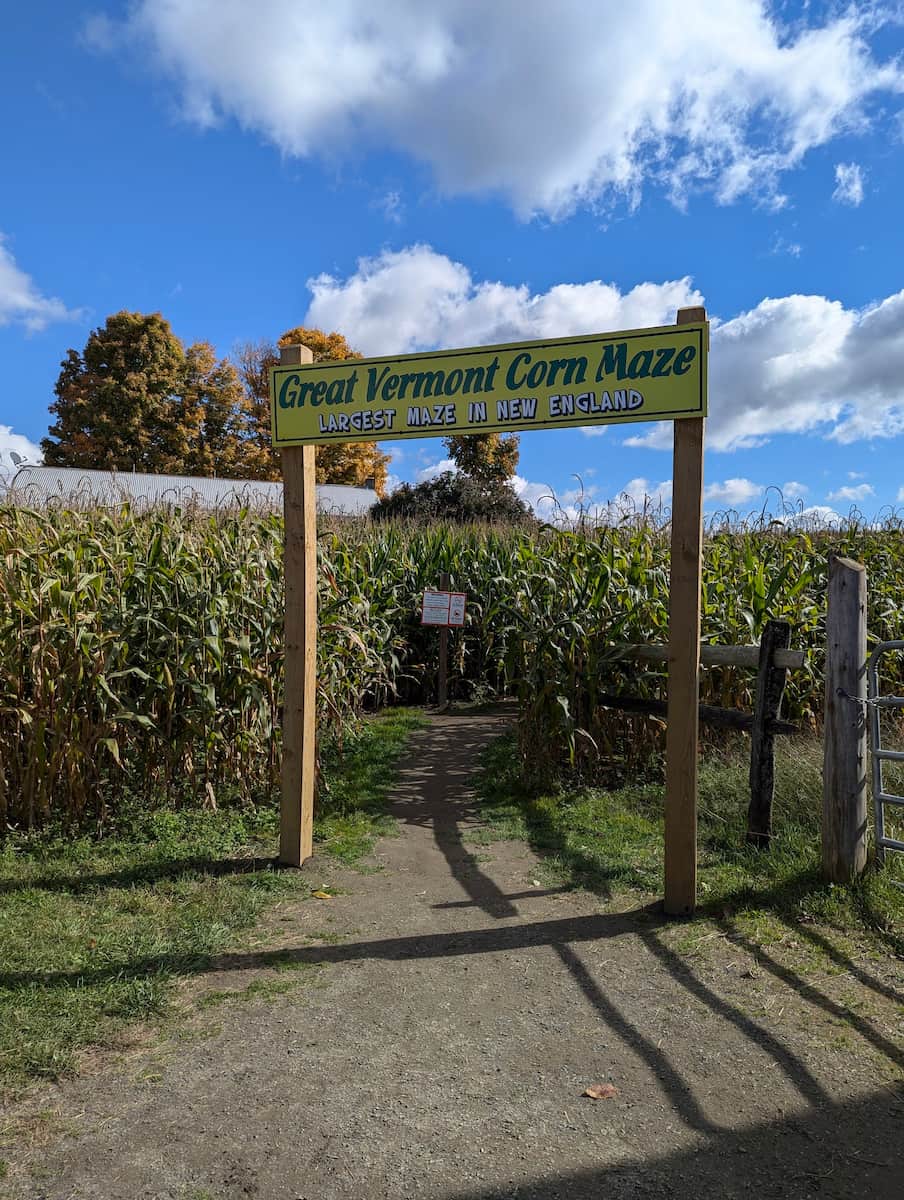 Vermont Corn Maze