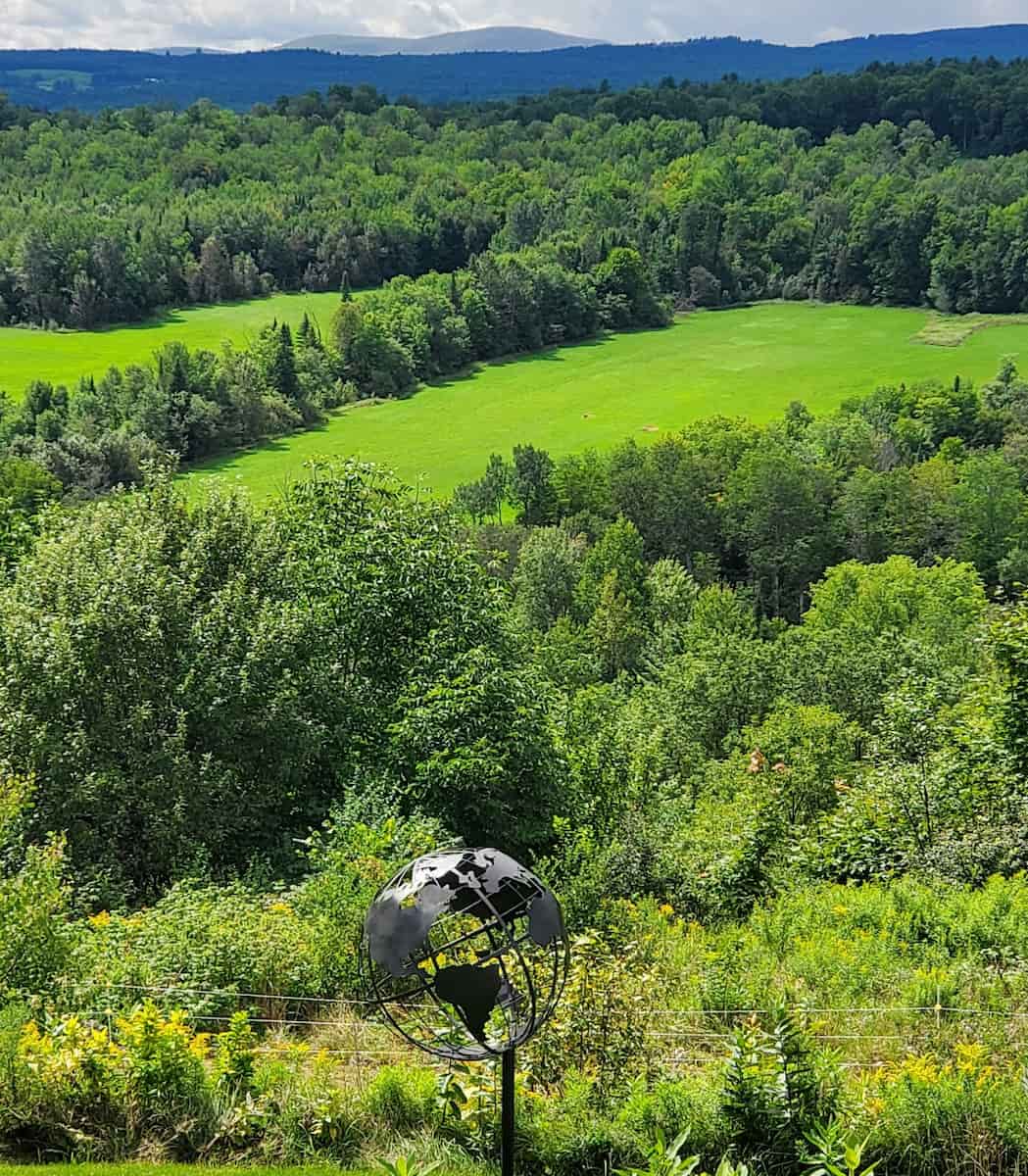 Vermont Corn Maze