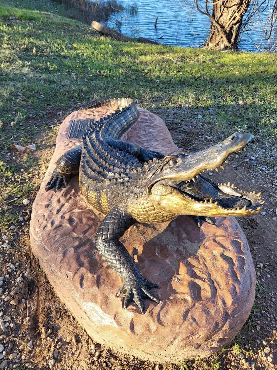 Waco Sculpture Zoo, Waco, TX