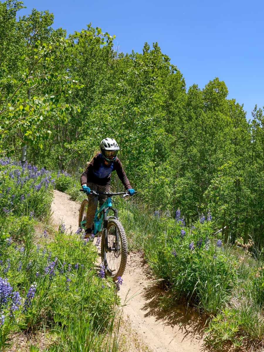 Wheeler Trail, Breckenridge