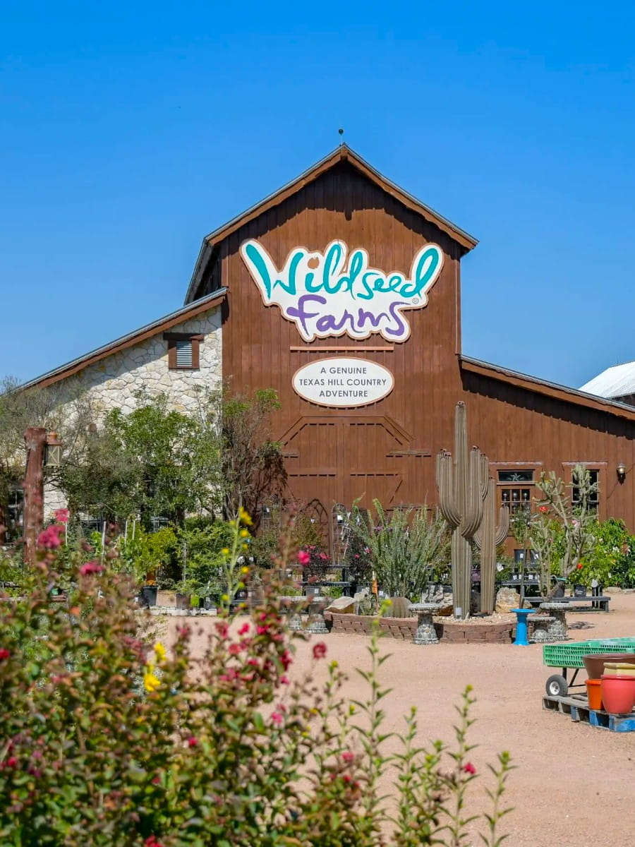 Wildseed Farms, Fredericksburg, TX