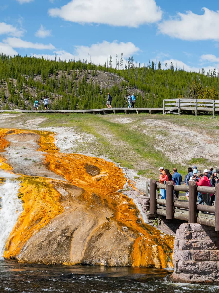 Yellowstone National Park, USA
