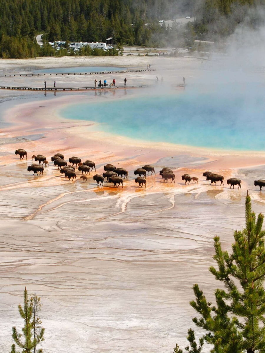 Yellowstone National Park, USA