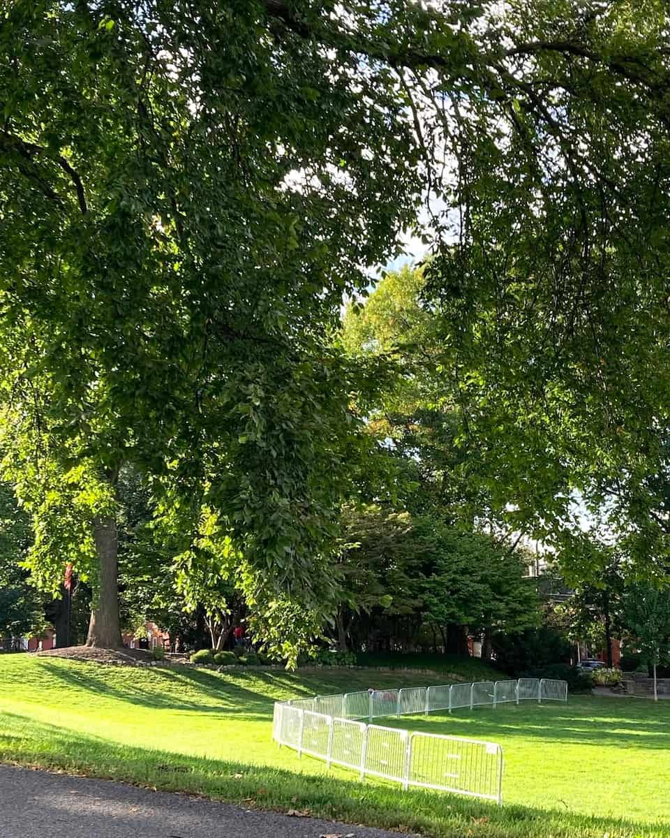 Lancaster Museum of Art